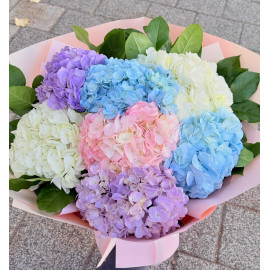 Buchet Hortensia pastel BH3 Buchet Hortensia pastel BH3